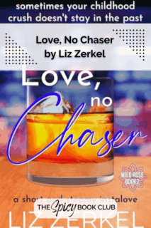 Love No Chaser by Liz Zerkel Review