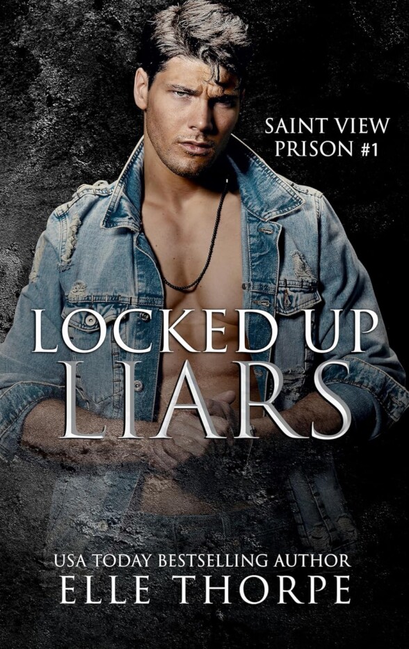 Saint View Prison Series by Elle Thorpe - Locked up Liars